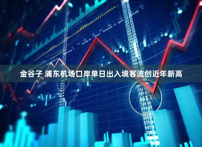 金谷子 浦东机场口岸单日出入境客流创近年新高
