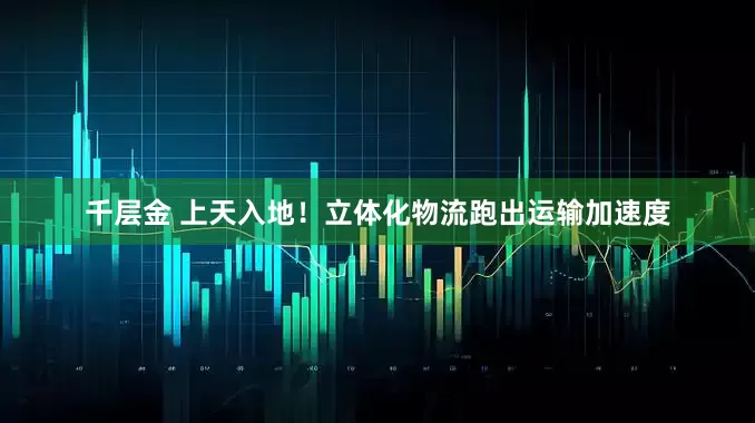 千层金 上天入地！立体化物流跑出运输加速度