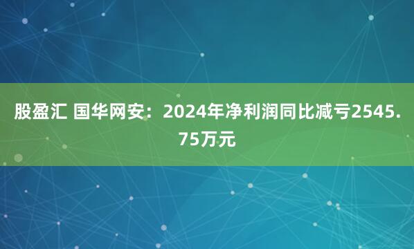 股盈汇 国华网安：2024年净利润同比减亏2545.75万元